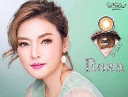 COLORED CONTACTS DREAM COLOR ROSA BROWN - Lens Beauty Queen