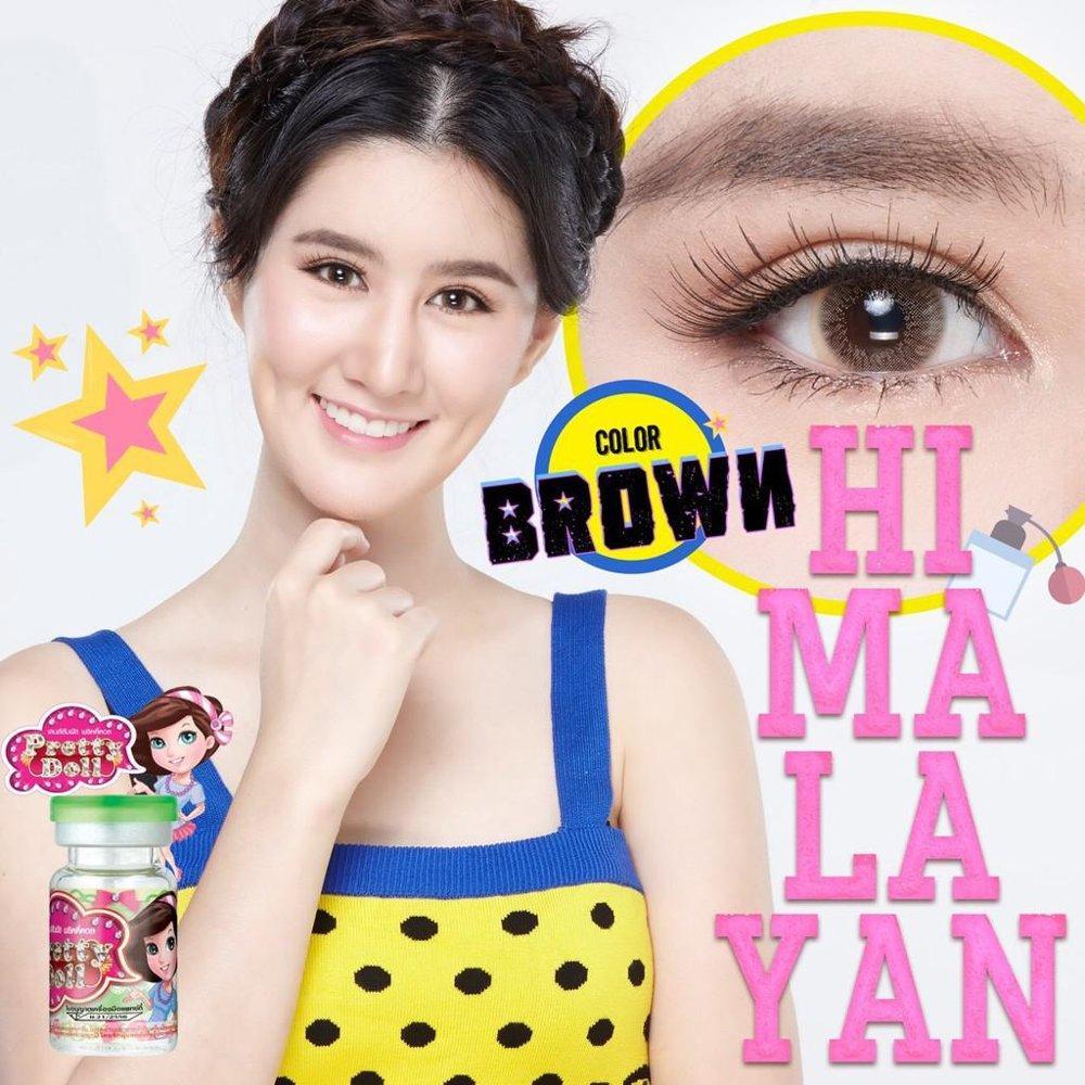 COLORED CONTACTS PRETTY DOLL HIMALAYAN BROWN - Lens Beauty Queen