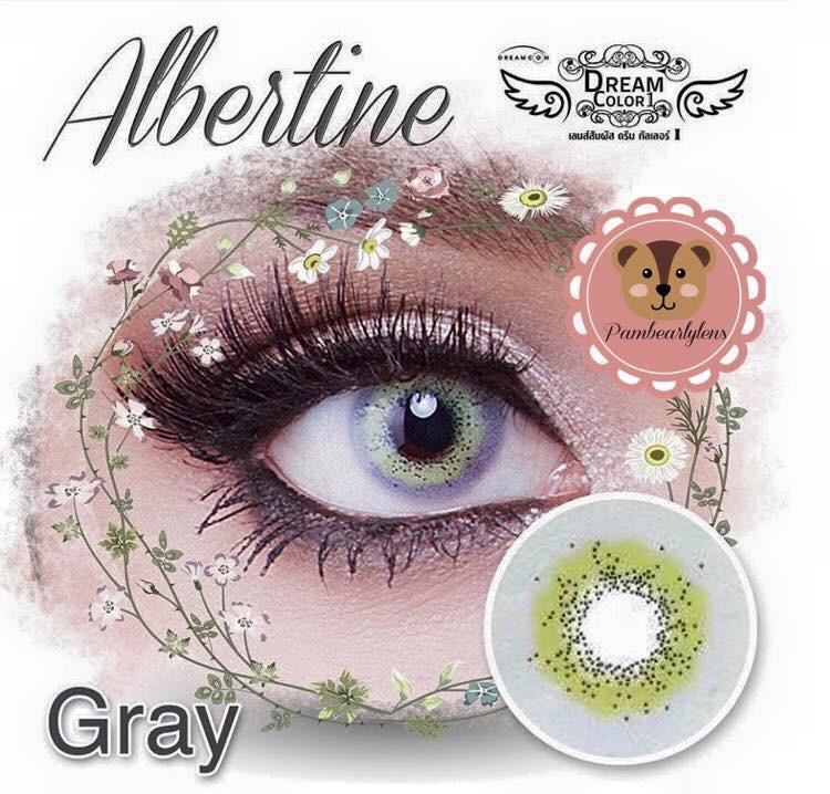 COLORED CONTACTS DREAM COLOR ALBERTINE GRAY - Lens Beauty Queen