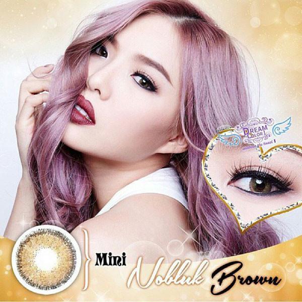 COLORED CONTACTS DREAM COLOR MINI NO BLUK BROWN - Lens Beauty Queen